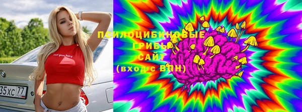 соль ск Армянск